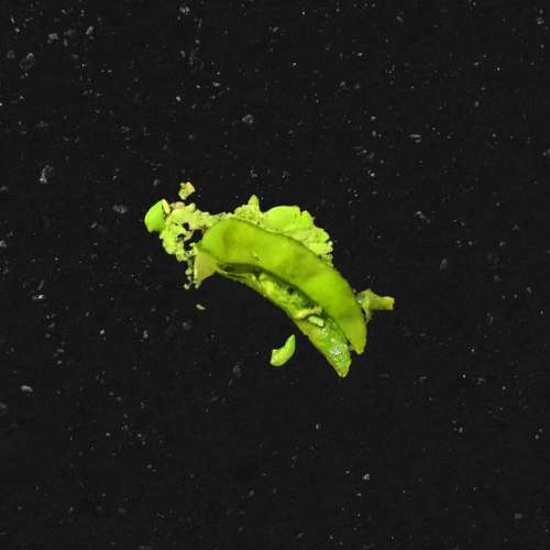 edamame (feat. Rich Brian) - Diplo Remix